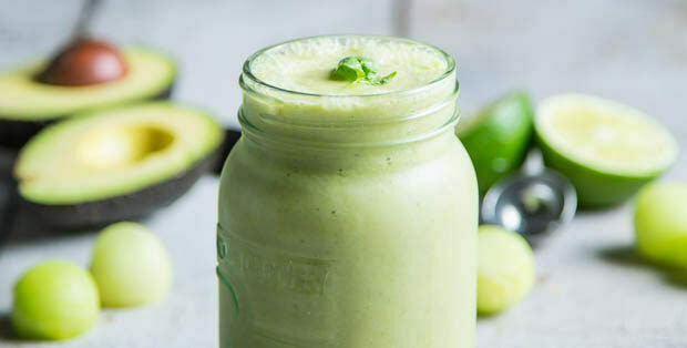 Honeydew Melon Protein Smoothie – Vega (US)