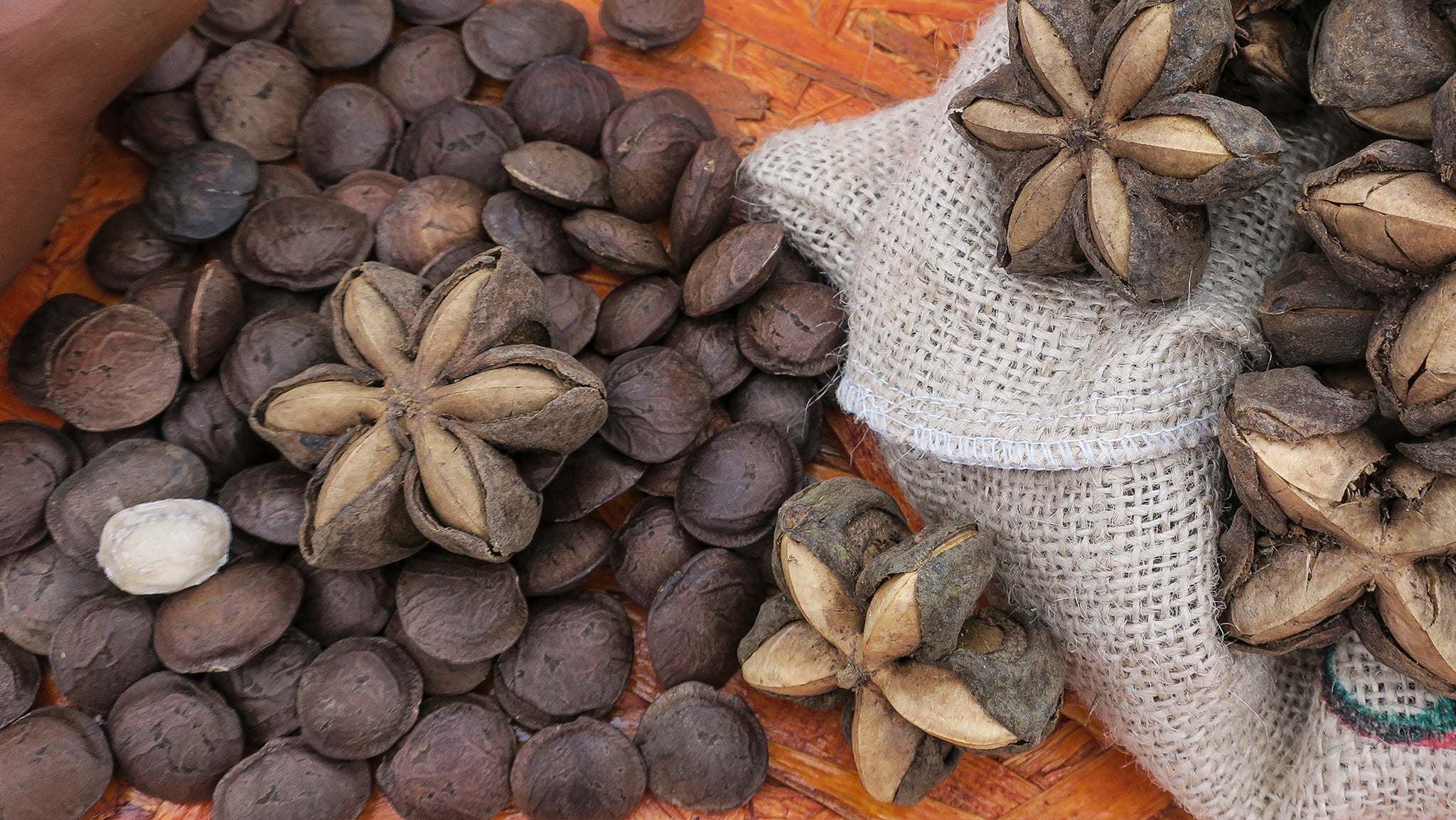 Sustainability at Vega: Sacha Inchi Seeds