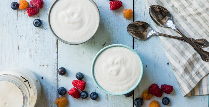 Coconut Cashew Yogurt – Vega (US)