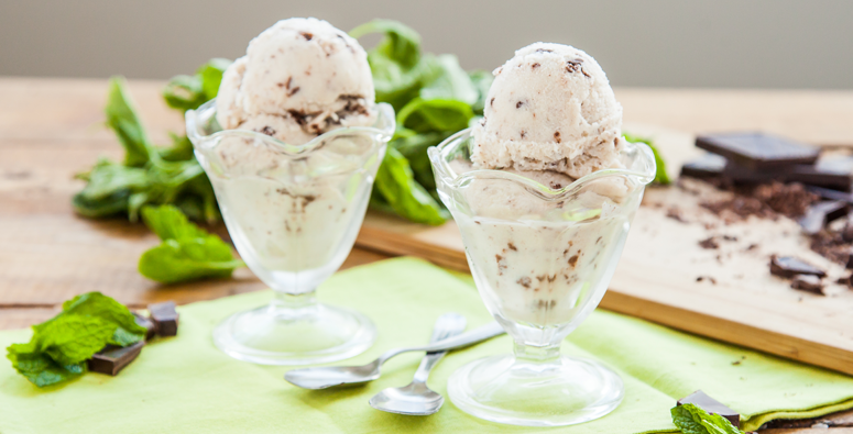 Chocolate Chip Mint Vegan Ice Cream