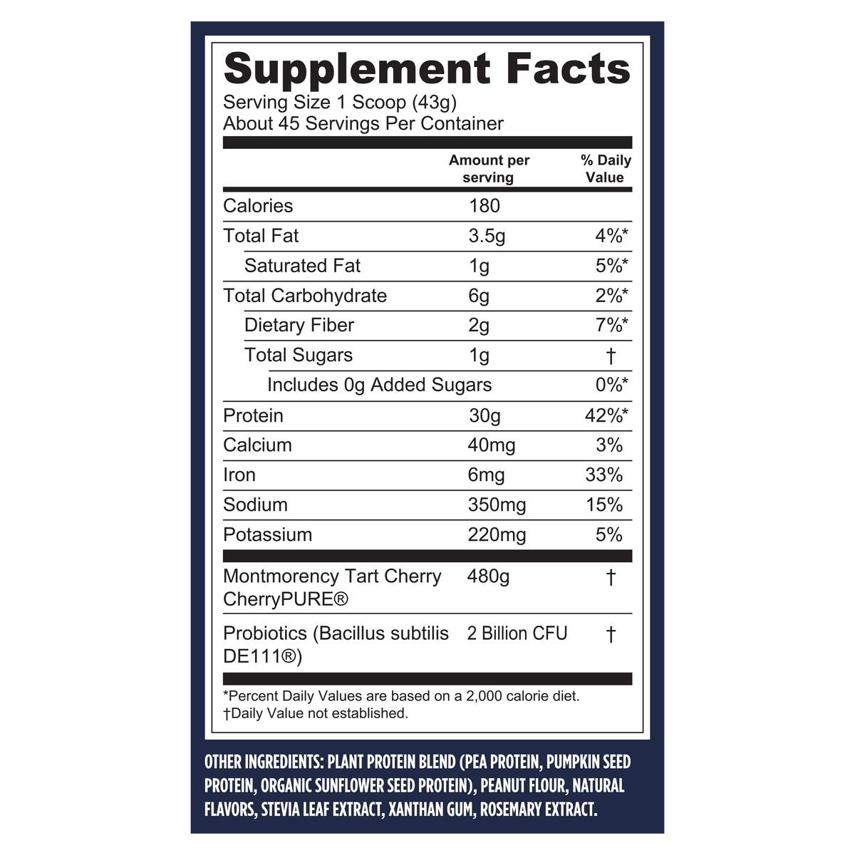 Vega® Performance Protein + Recovery