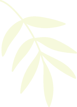 palm leaf image
