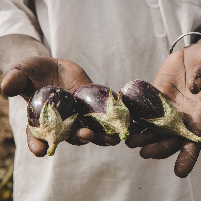 man holding fruits for agroforestry in senegal