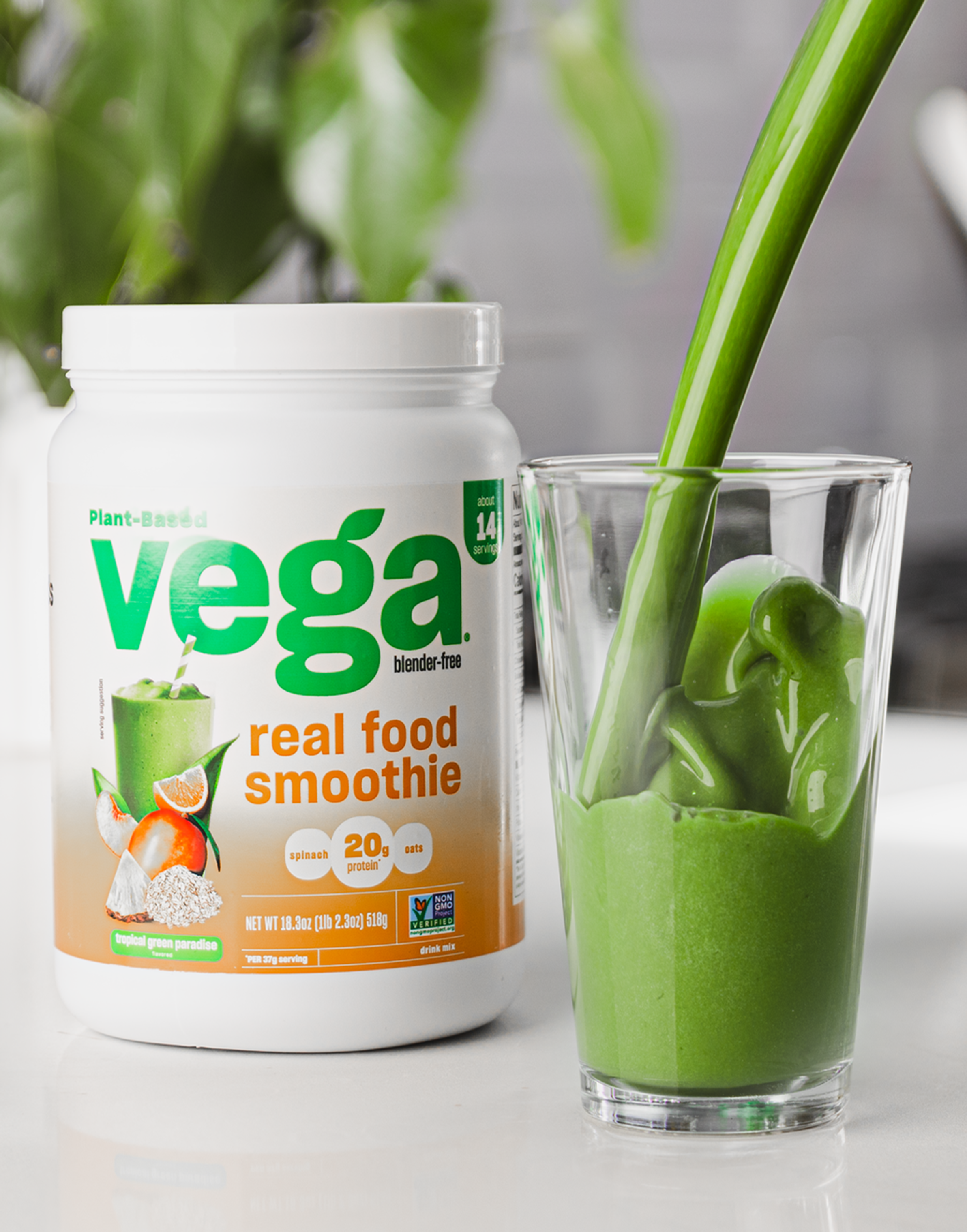 Vega Real Food Smoothie Vega US