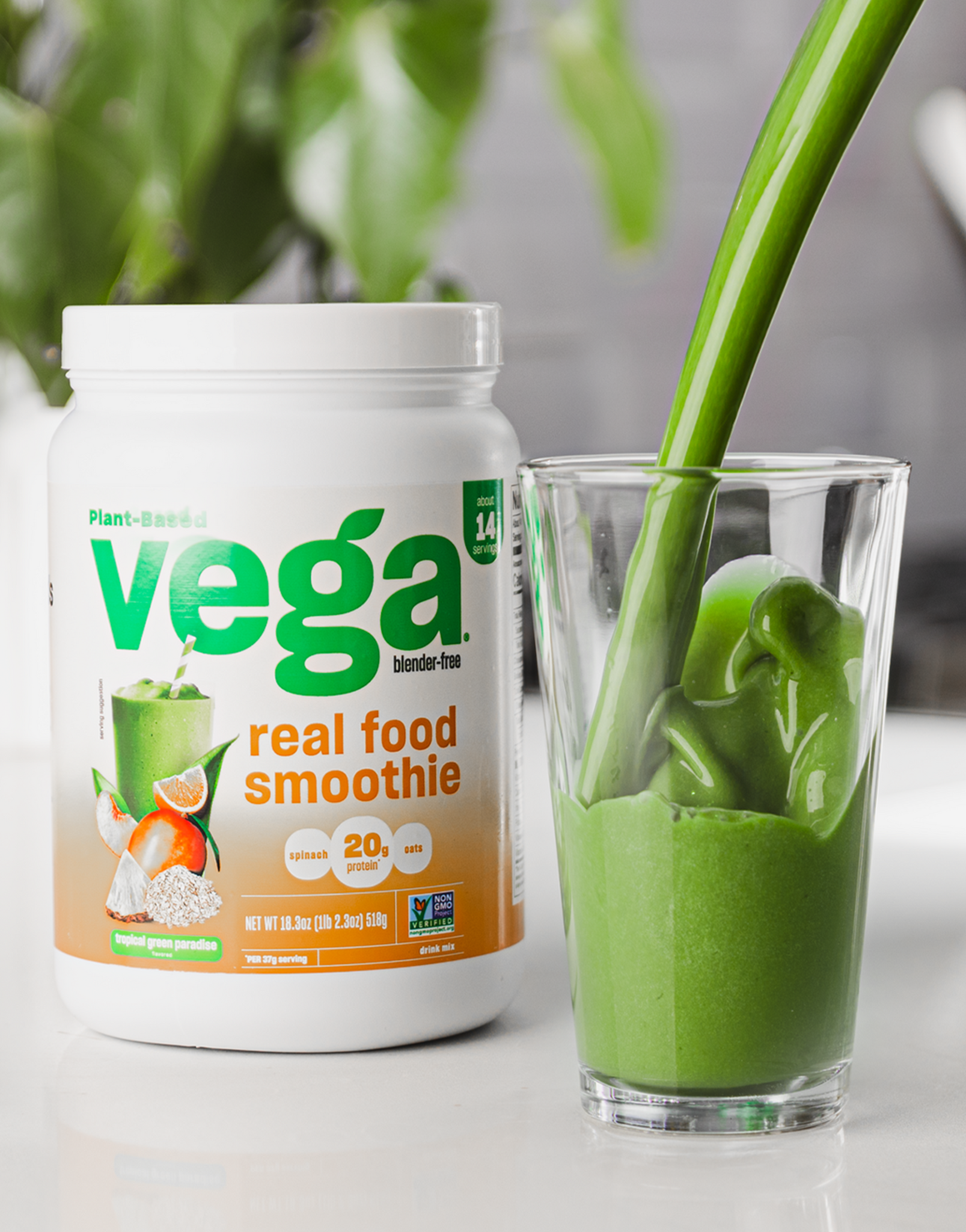 Vega® Real Food Smoothie - Plant-Based Protein Powder